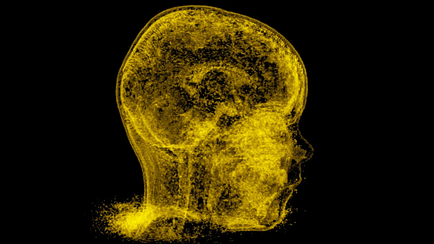 Brain — MRI data video installation at Atopia