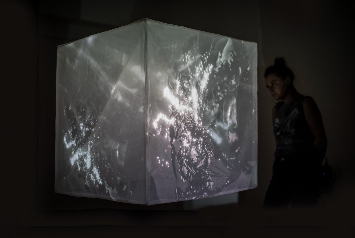 Innards video sculpture installation at Vasulka Kitchen Brno