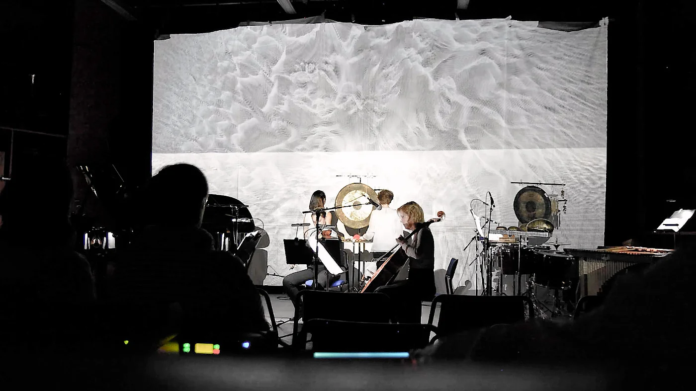 Hljóðs bið ek — visual instrument performance